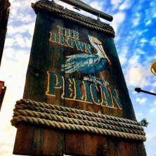 17021379_855781954559544_4158933835694194326_n