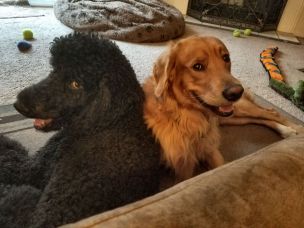 28061089_10213818380746172_9039055512493439138_o