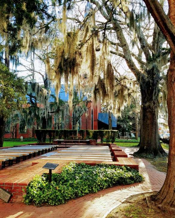 29512599_818214995028893_7843305330866886411_n