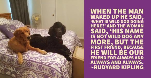 First Friend Mozziver