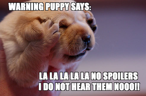 tumblr_n28czdlNHk1scp23ko1_500