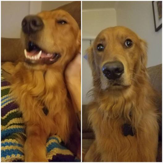 39057069_10215068105388507_6309466438549635072_n