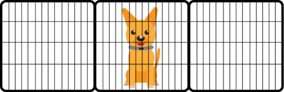 płot-e1499386286324